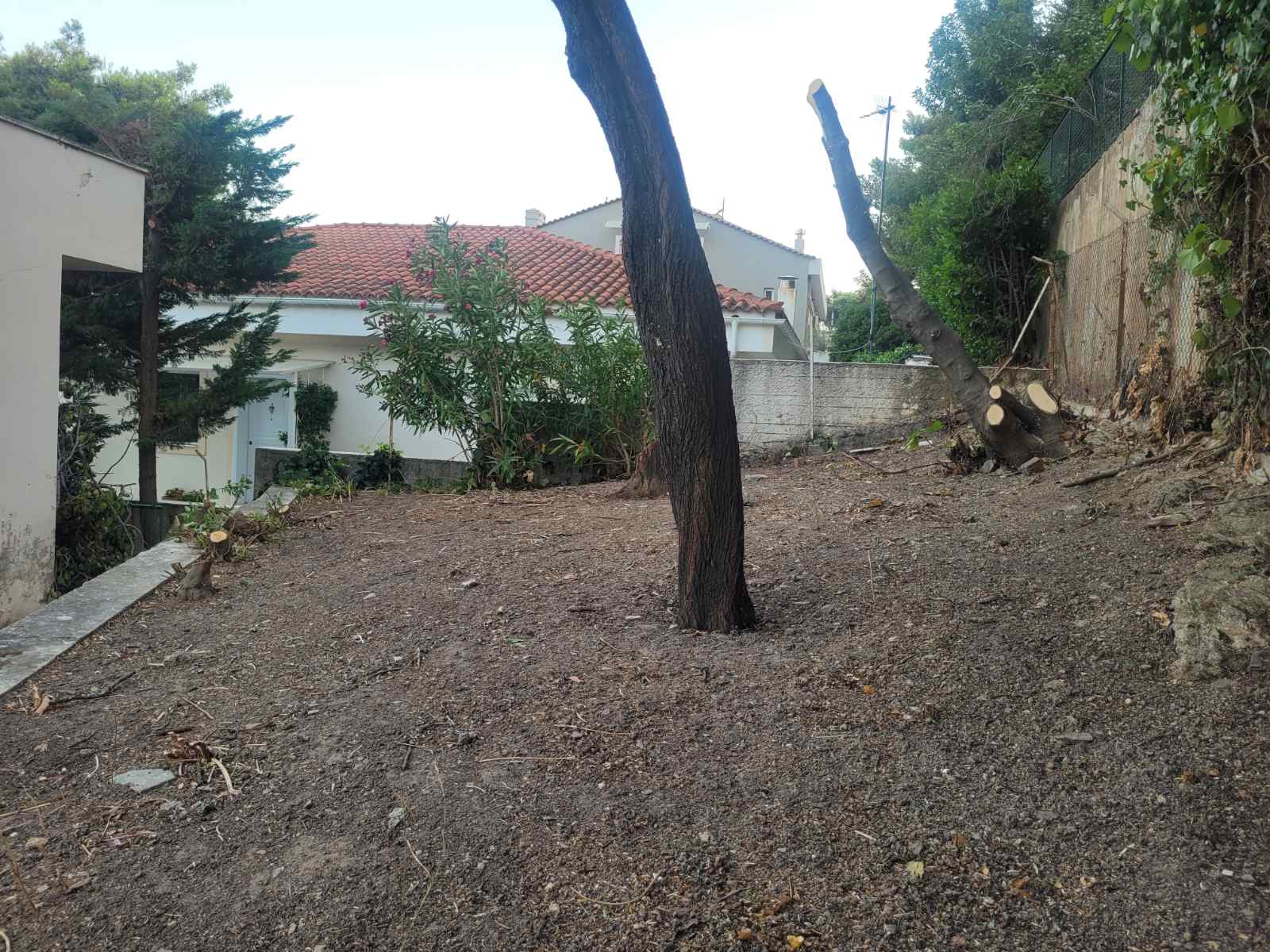 εικόνα_Viber_2024-07-18_15-52-55-250