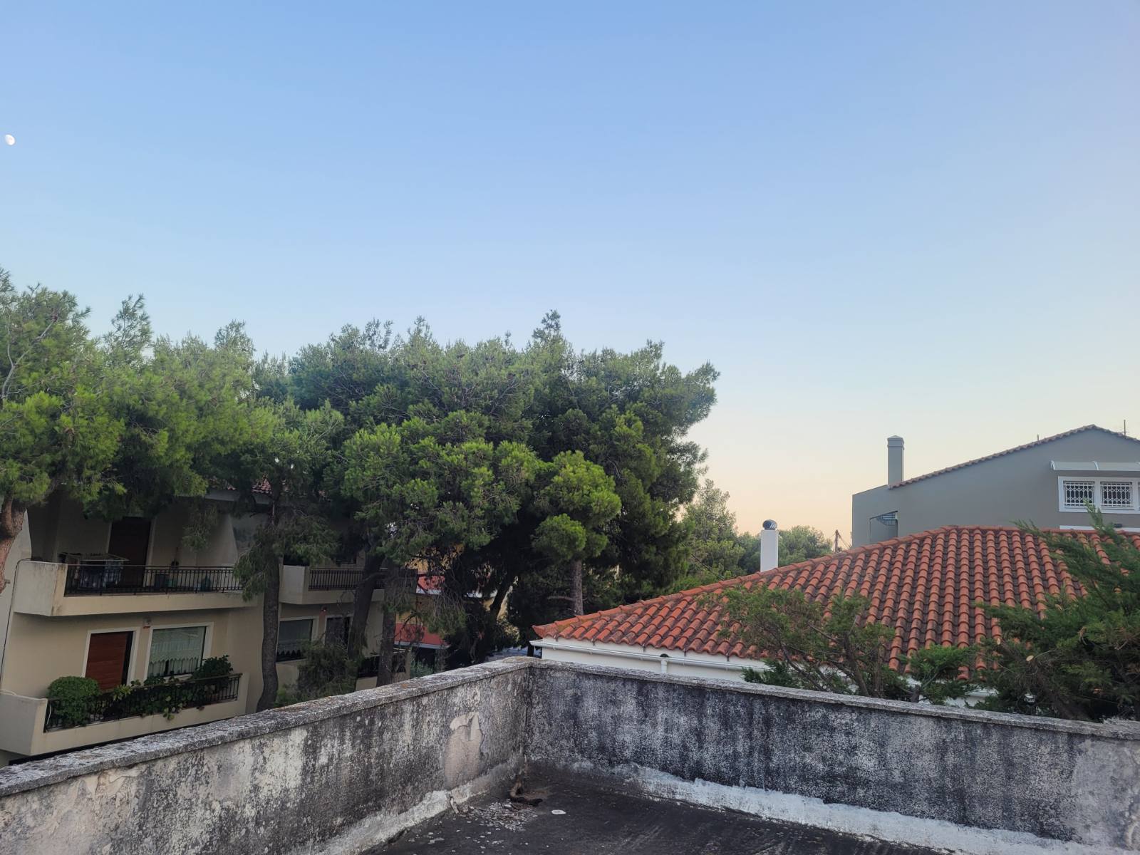 εικόνα_Viber_2024-07-18_15-52-55-420